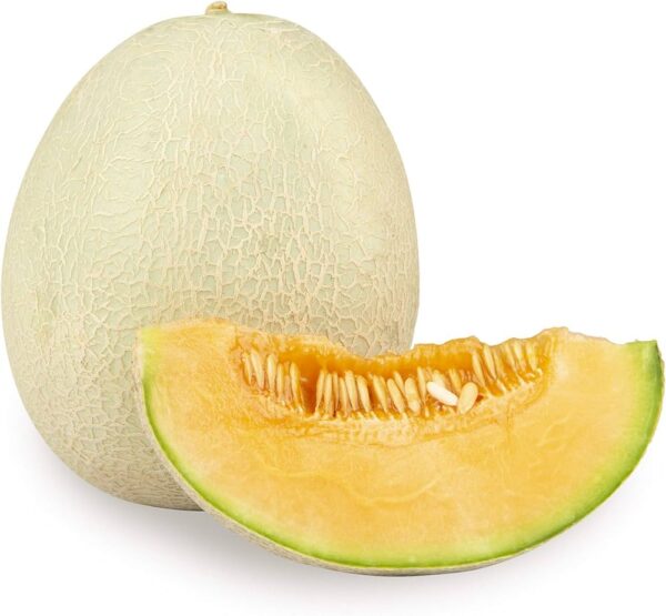 yellow-melon-musk-melon